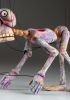 foto: Squelette arc-en-ciel - Marionnette en bois sculptée à la main
